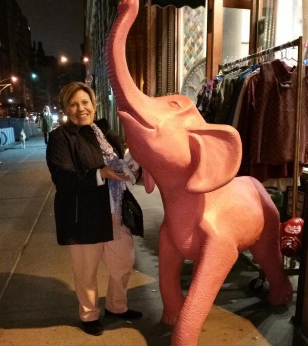 Pay No Attention to the Pink Elephant