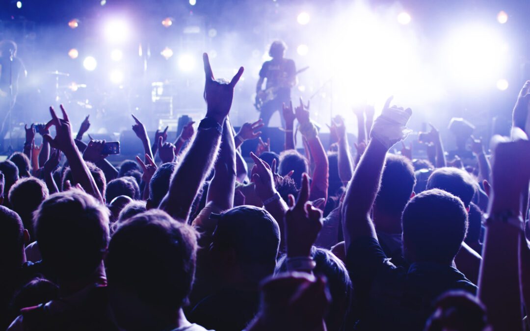 So You Want To Be a Rock Star?