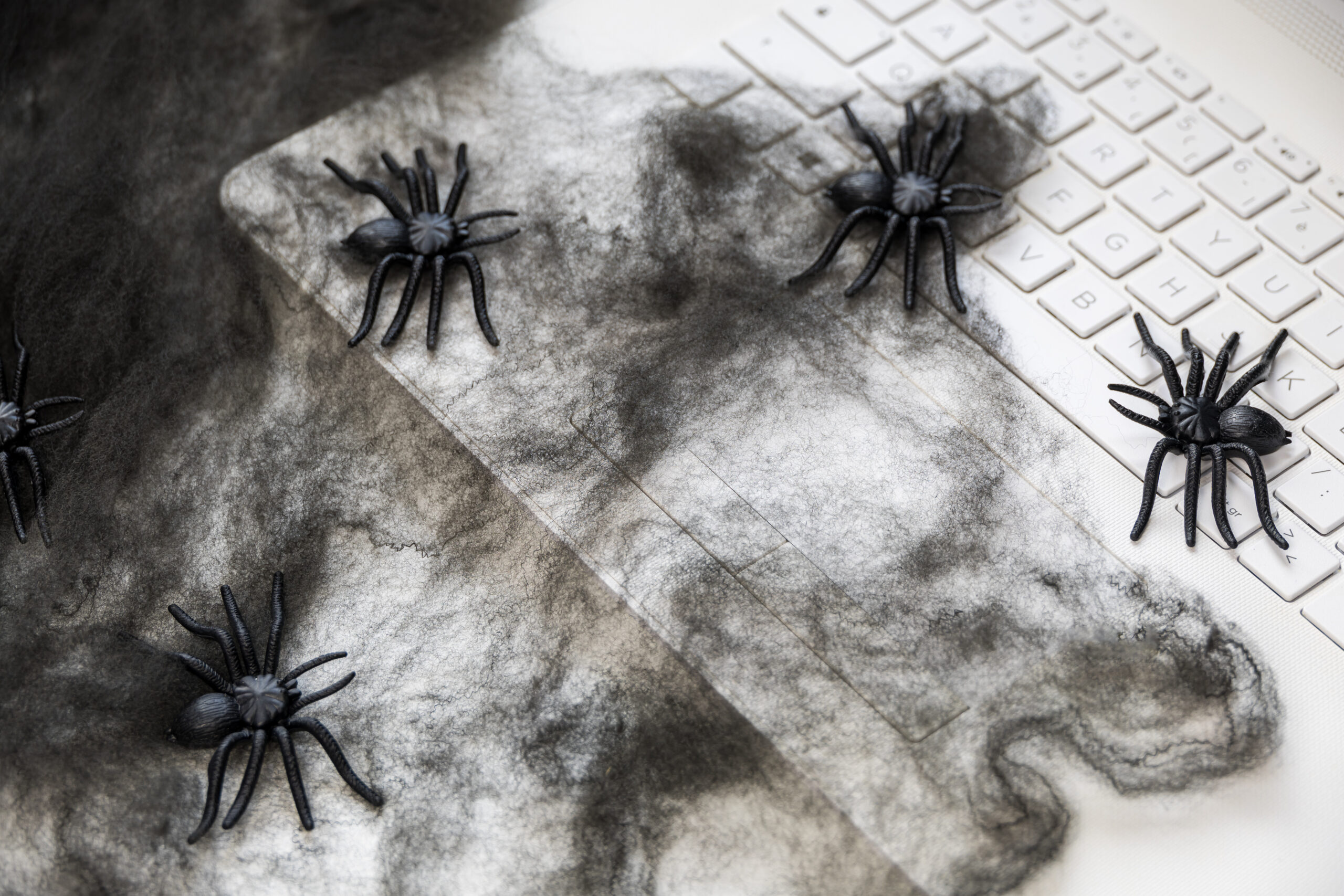 Hands working on a laptop surrounded by black spiders and cobweb decorations, creating a spooky Halloween atmosphere and concept of fear, digital threats and working from home.